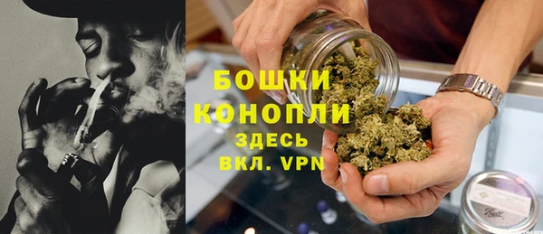 сатива Абдулино