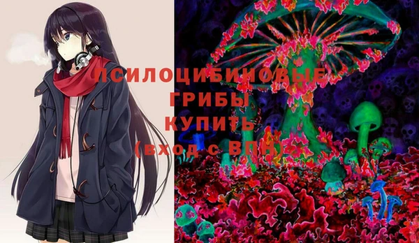 сатива Абдулино