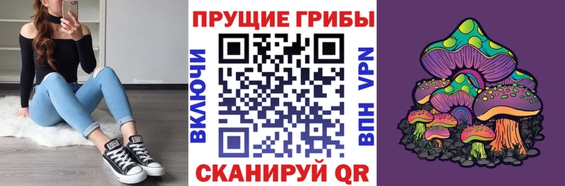 ОМГ ОМГ зеркало  цены наркотик  Лермонтов  Галлюциногенные грибы GOLDEN TEACHER 